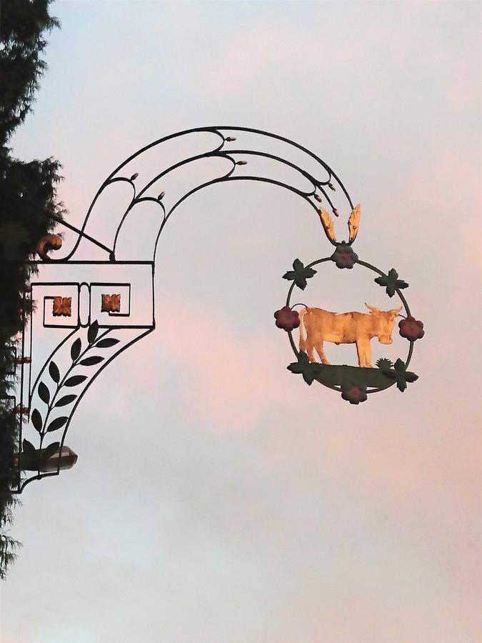 Gasthaus Zum Ochsen Neuhaus Dış mekan fotoğraf