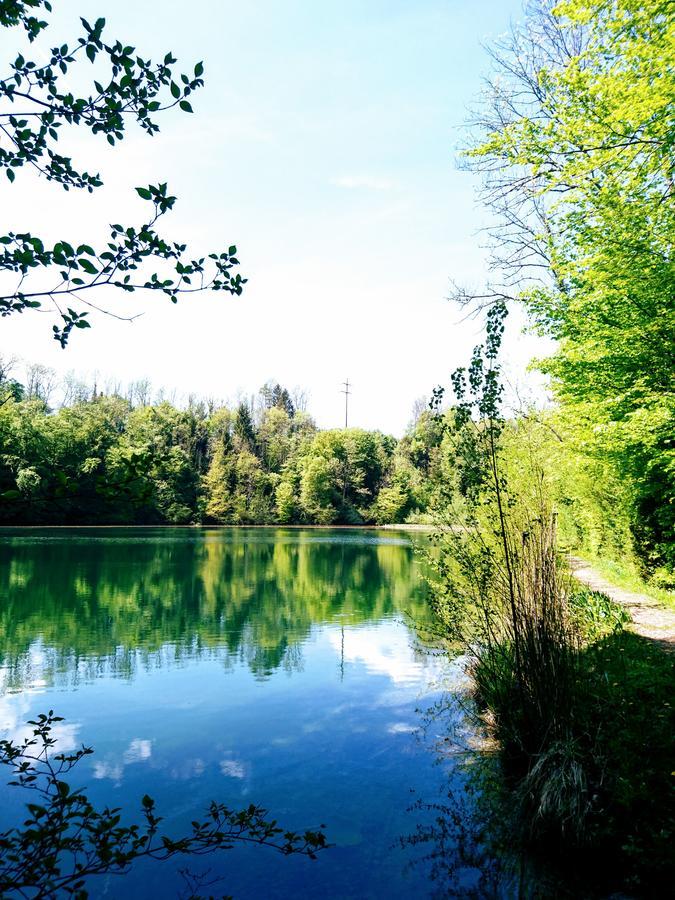 Gasthaus Zum Ochsen Neuhaus Dış mekan fotoğraf